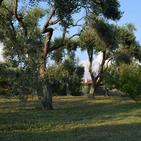 Апартаменты Joanna -apartment *